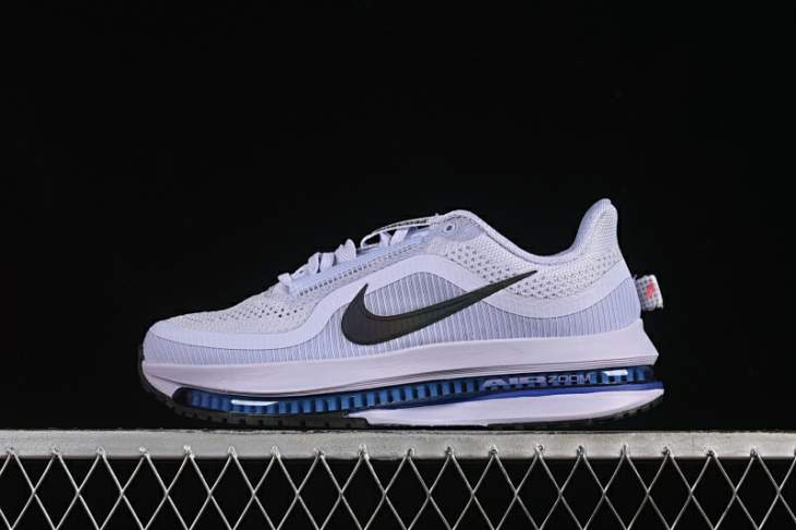 Picture of Nike Pegasus Premium _SKUfw20096829074076519fw